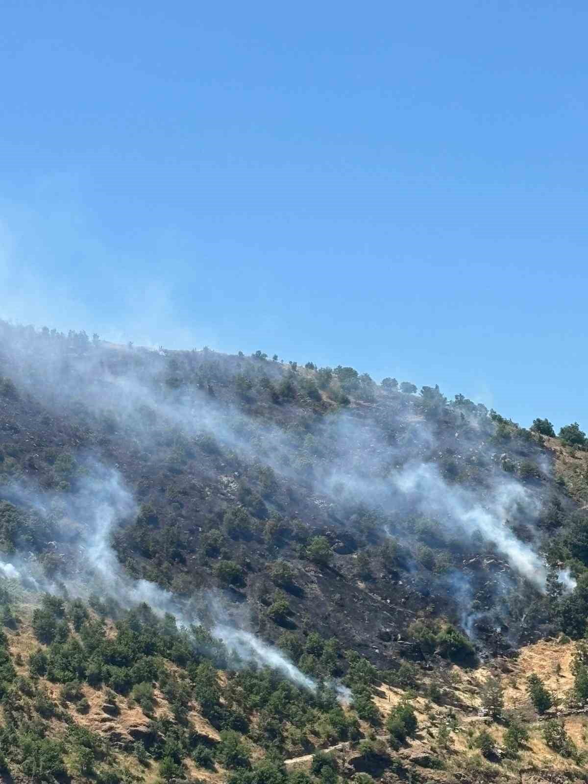 SULTANHİSAR’DAKİ YANGINA HAVADAN VE KARADAN MÜDAHALE SÜRÜYOR
