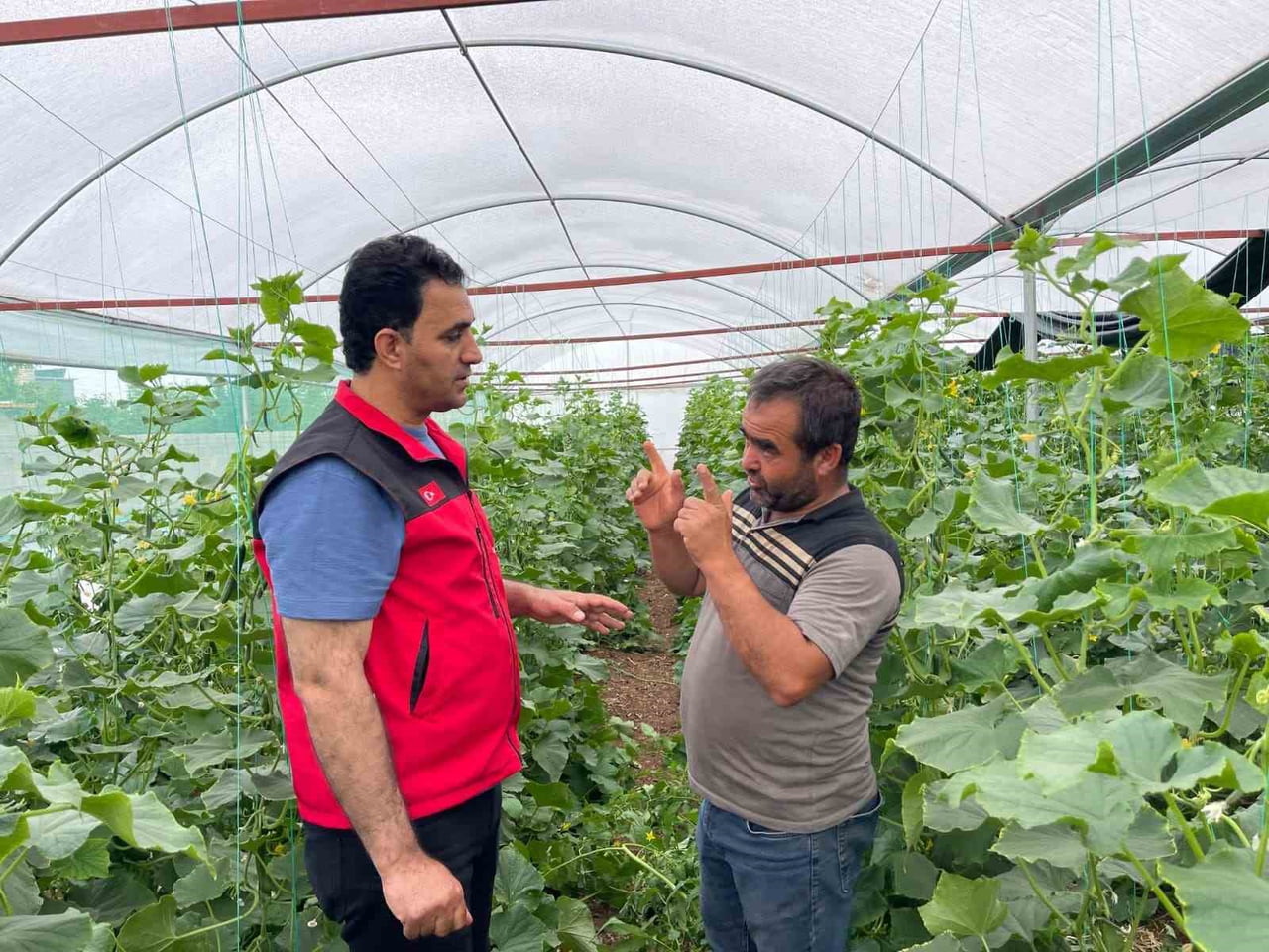 SULU TARIM MEVSİMLİK TARIM İŞÇİLİĞİNİ BİTİRDİ