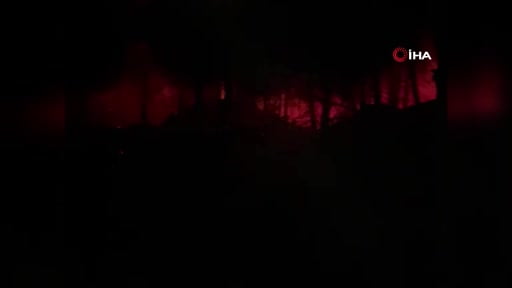 Susurluk'ta çıkan yangına havadan müdahale ediliyor