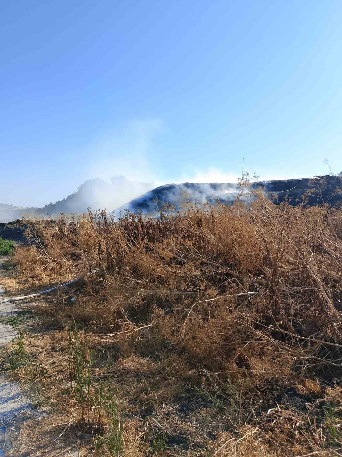 SUSURLUK'TA OTLUK ALANDA ÇIKAN YANGIN SÖNDÜRÜLDÜ