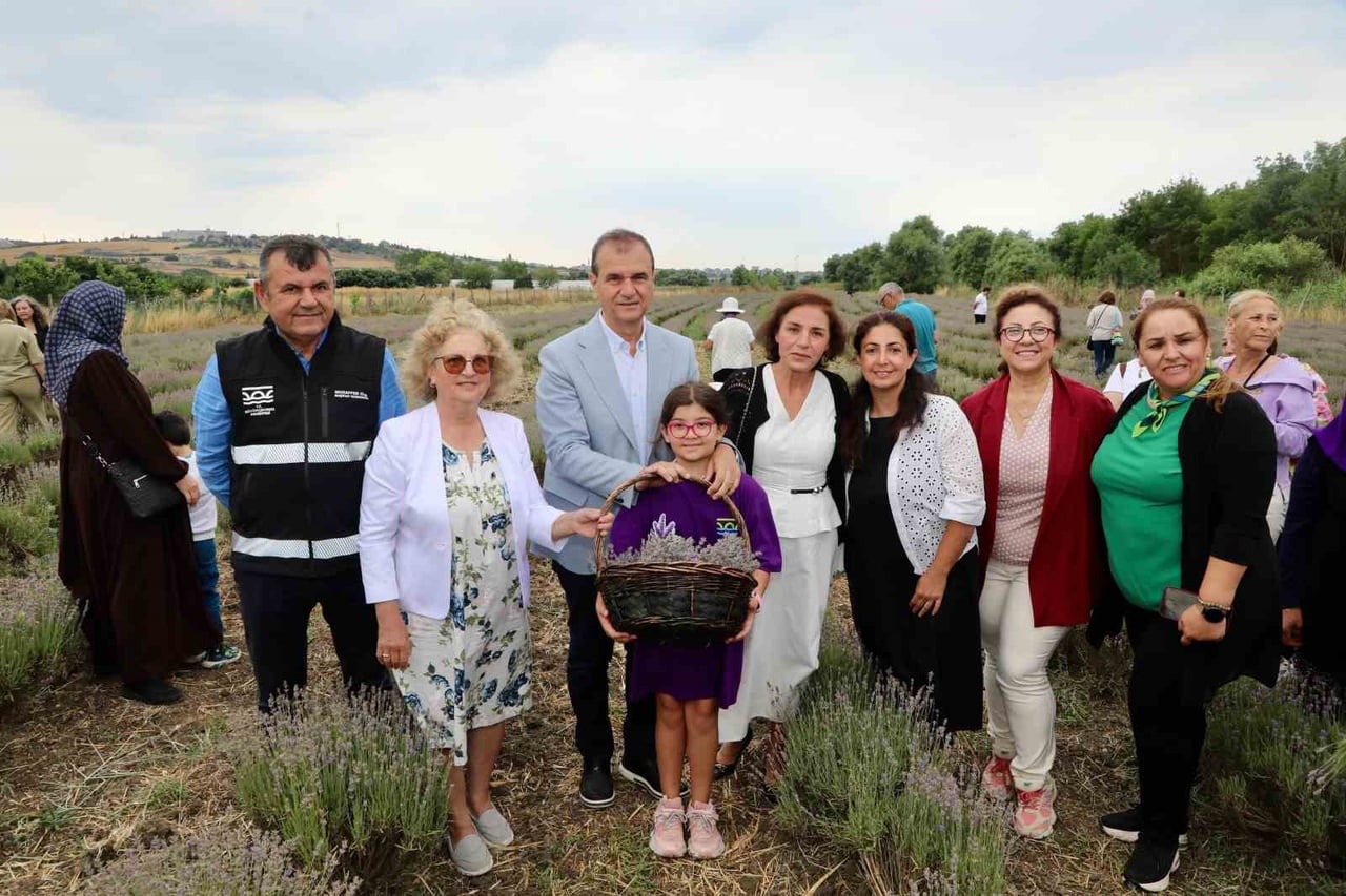 TARIM PROJELERİYLE ÜRETİME DESTEK VEREN BÜYÜKÇEKMECE BELEDİYESİ, GELENEKSEL LAVANTA HASAT...