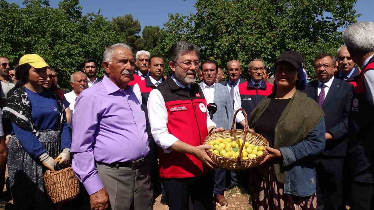 TARIM VE ORMAN BAKANI İBRAHİM YUMAKLI MALATYA'DA KAYISI HASADINA KATILDI.