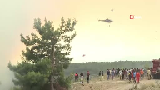 Tarım ve Orman Bakanlığı Akdeniz ve Ege'deki orman yangınlarına müdahalenin sürdüğünü...
