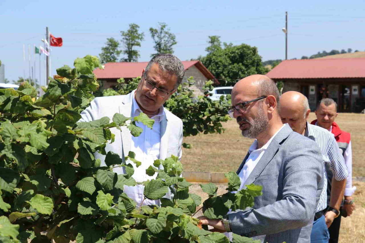 TARIM VE ORMAN BAKANLIĞI BİTKİSEL ÜRETİM GENEL MÜDÜR YARDIMCISI İHSAN EMİRALİOĞLU, SAMSUN'DA...