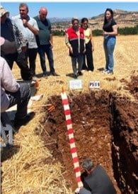 TARIM VE ORMAN BAKANLIĞI TARIM ARAZİLERİNİ KORUMA DAİRE BAŞKANLIĞI KOORDİNASYONUNDA YÜRÜTÜLEN...