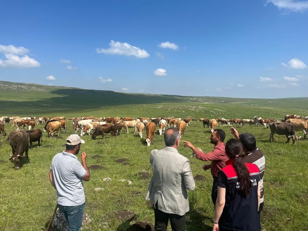 TARIM VE ORMAN MÜDÜRÜ ENVER AYDIN, 2 BİN 500 RAKIMLI SUSUZ YAYLASI’NDA ÜRETİCİLERLE...