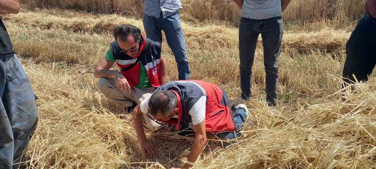 TAVŞANLI’DA BİÇERDÖVER KONTROLLERİ SÜRÜYOR