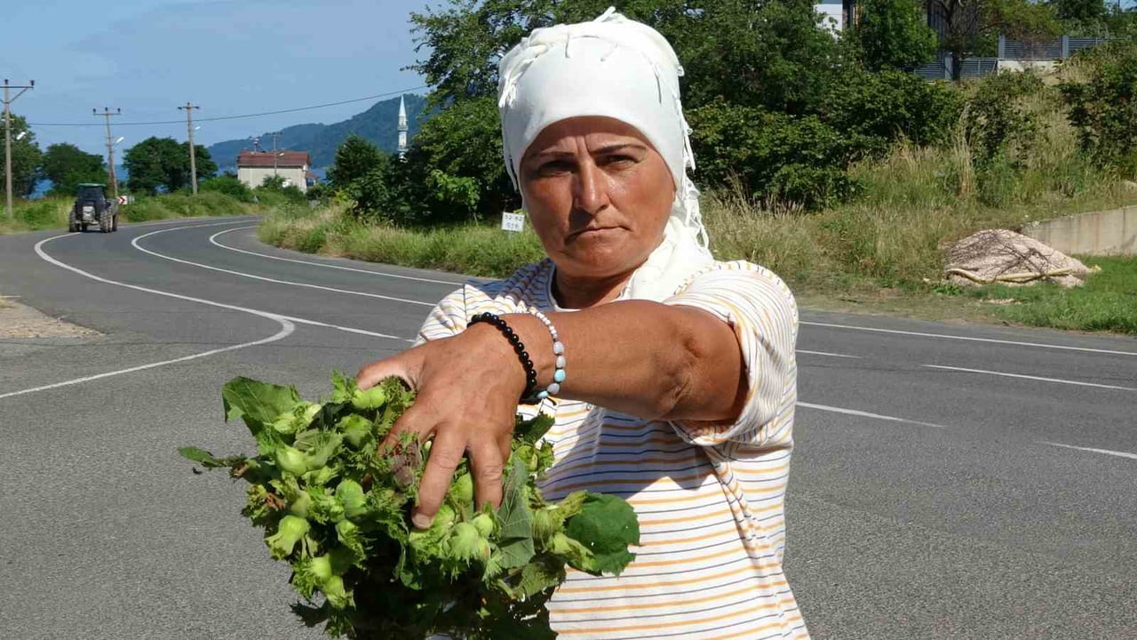TAZE FINDIK SATIŞI YAPAN GÜLBEYAZ ZAFER ÇAYTEPELİ