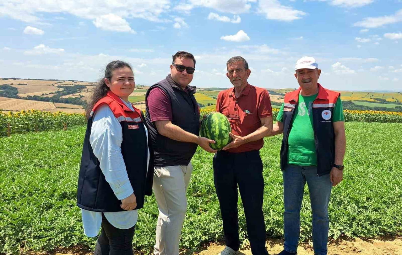TEKİRDAĞ'IN HAYRABOLU İLÇESİNE BAĞLI EMİRYAKUP MAHALLESİ'NDE SEZONUN İLK KARPUZ HASADI...