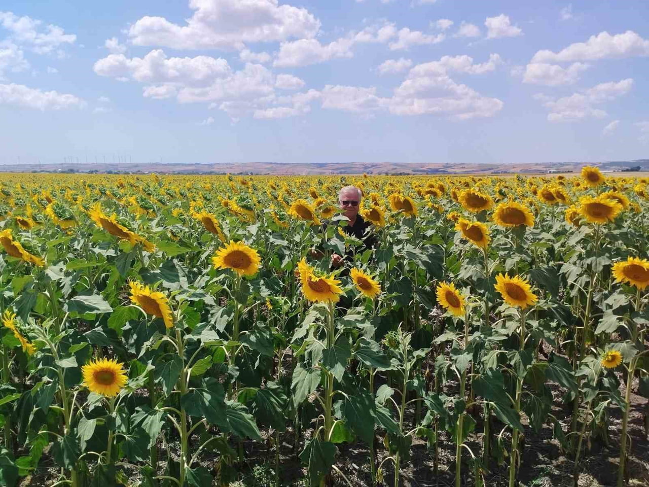 TEKİRDAĞ'IN MURATLI İLÇESİNDE ANIZA EKİM YÖNTEMİ, ÇİFTÇİYE EKONOMİK KAZANCIN YANI SIRA ÖNEMLİ...