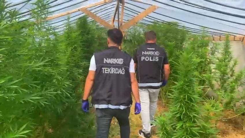 TEKİRDAĞ'IN SÜLEYMANPAŞA İLÇESİNDE POLİS EKİPLERİNCE BİR BAĞ EVİNE DÜZENLENEN OPERASYONDA 109 KÖK...