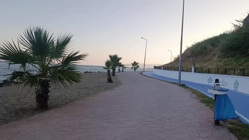 Tekirdağ sahili sıcak havada sessizliğe büründü: Sahilin yeni sahipleri kediler oldu