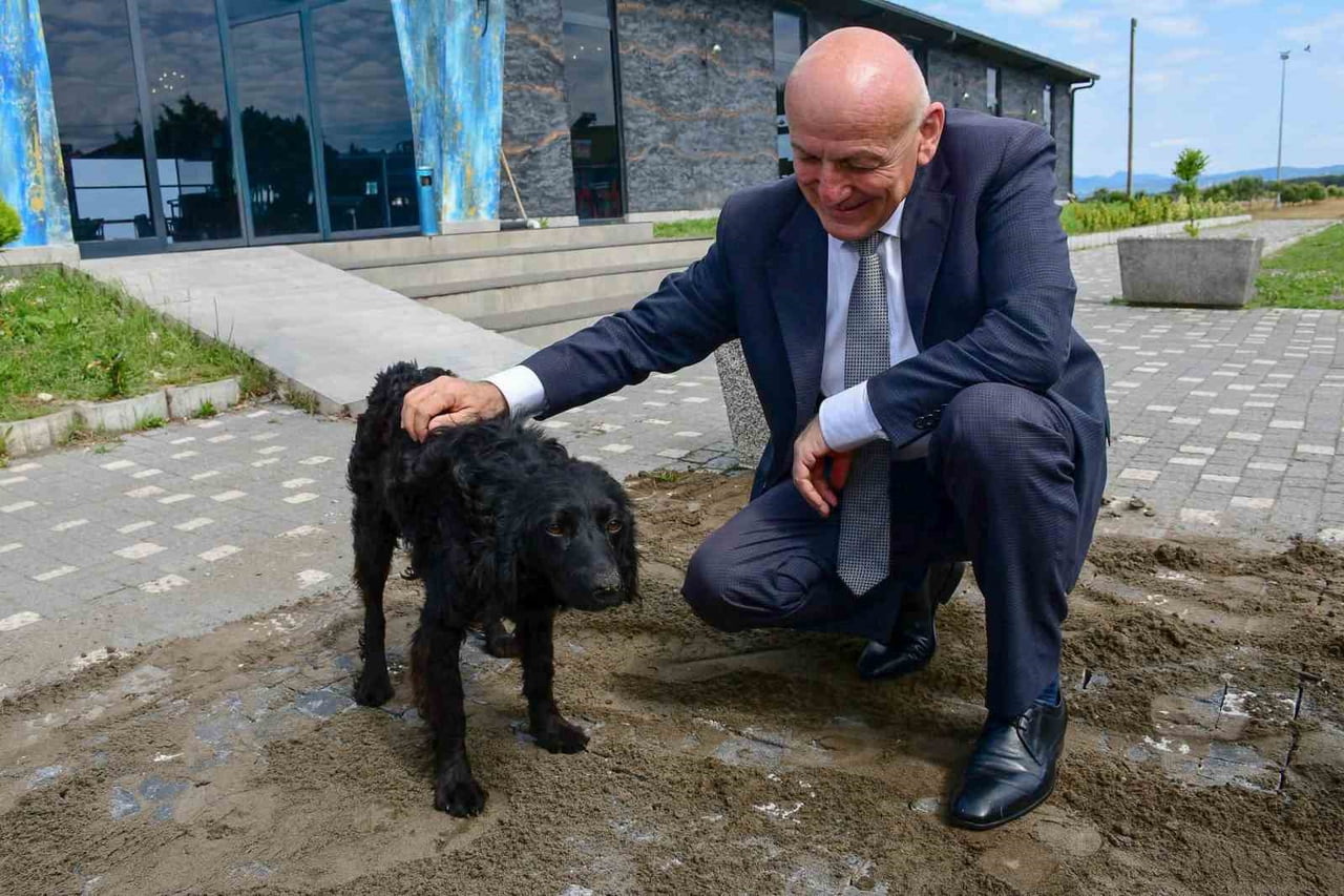 TERME BELEDİYESİ'NİN SOKAK HAYVANLARININ GÜVENLİ, SAĞLIKLI VE DOĞAL YAŞAM KOŞULLARINA UYGUN...