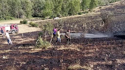 Tokat'ta örtü yangını: 15 dönüm ekili arazi küle döndü