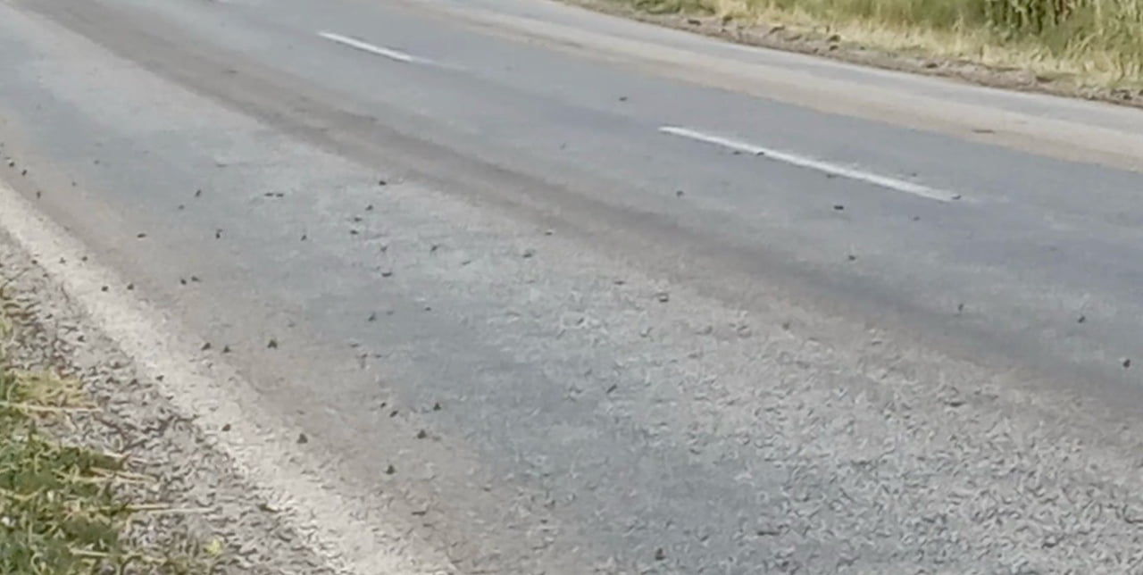 TOKAT’IN YEŞİLYURT İLÇESİ İLE SULUSARAY İLÇESİ ARASINDAKİ YAKLAŞIK 3 KİLOMETRELİK KARAYOLUNDA...