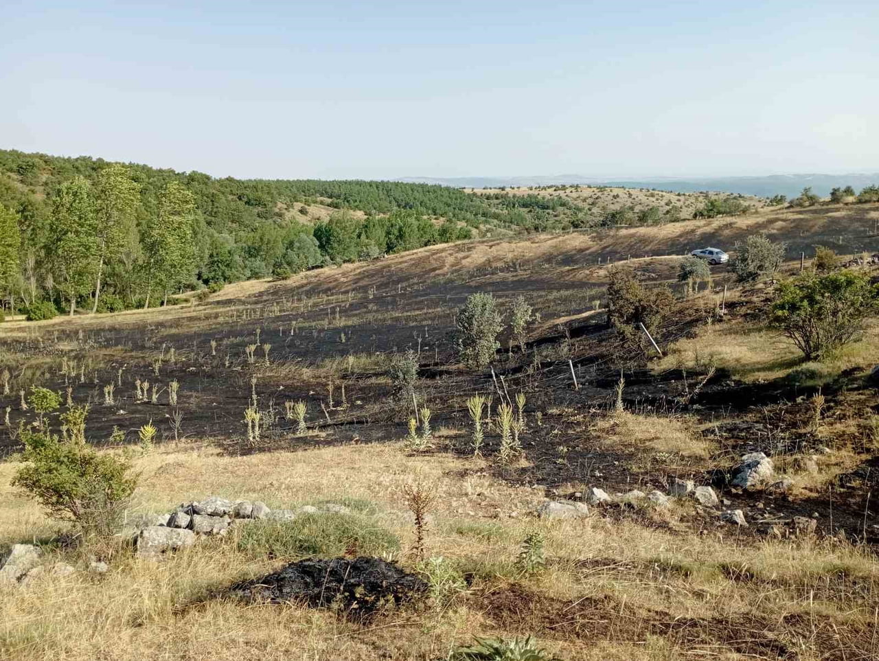 TOKAT’IN YEŞİLYURT İLÇESİNE BAĞLI KUŞÇU BELDESİ YAYLA MEVKİSİNDE ÇIKAN ÖRTÜ YANGININDA YAKLAŞIK 15...