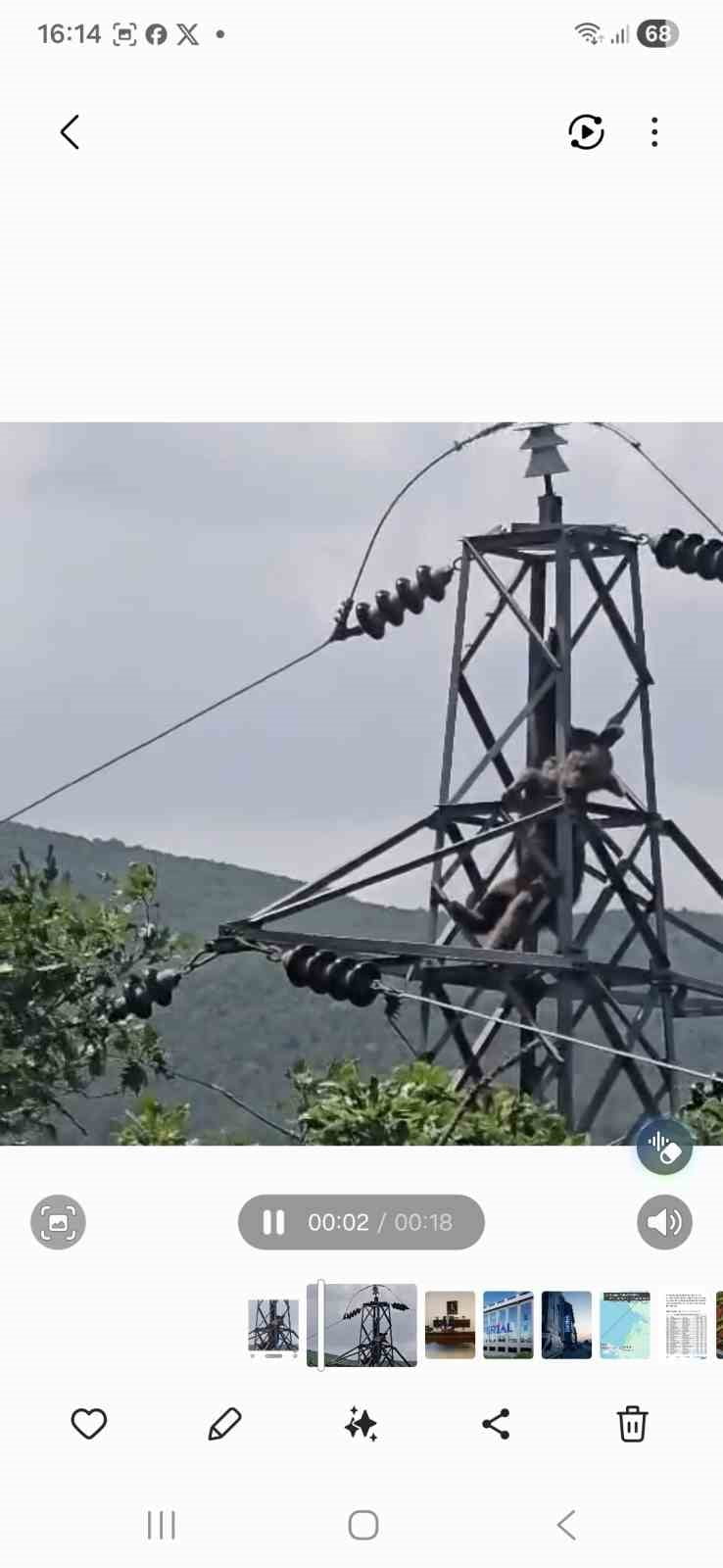 TRABZON'UN ÇAYKARA İLÇESİNDE ELEKTRİK DİREĞİNE TIRMANAN BİR AYI, YÜKSEK GERİLİM HATTINA TEMAS...