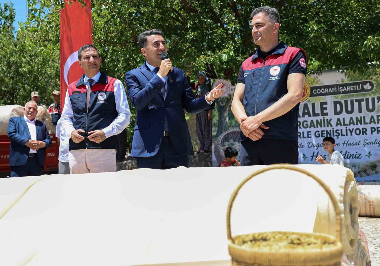 TUNCELİ'NİN COĞRAFİ İŞARETLİ ULUKALE DUTUNDA BU SEZON YAKLAŞIK 650 TON REKOLTE BEKLENİYOR.
