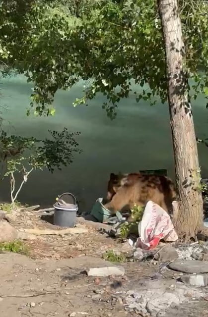 TUNCELİ'NİN OVACIK İLÇESİNDEKİ HALBORİ GÖZELERİ MEVKİİNDE PİKNİK YAPAN VATANDAŞLAR, BEKLENMEDİK...