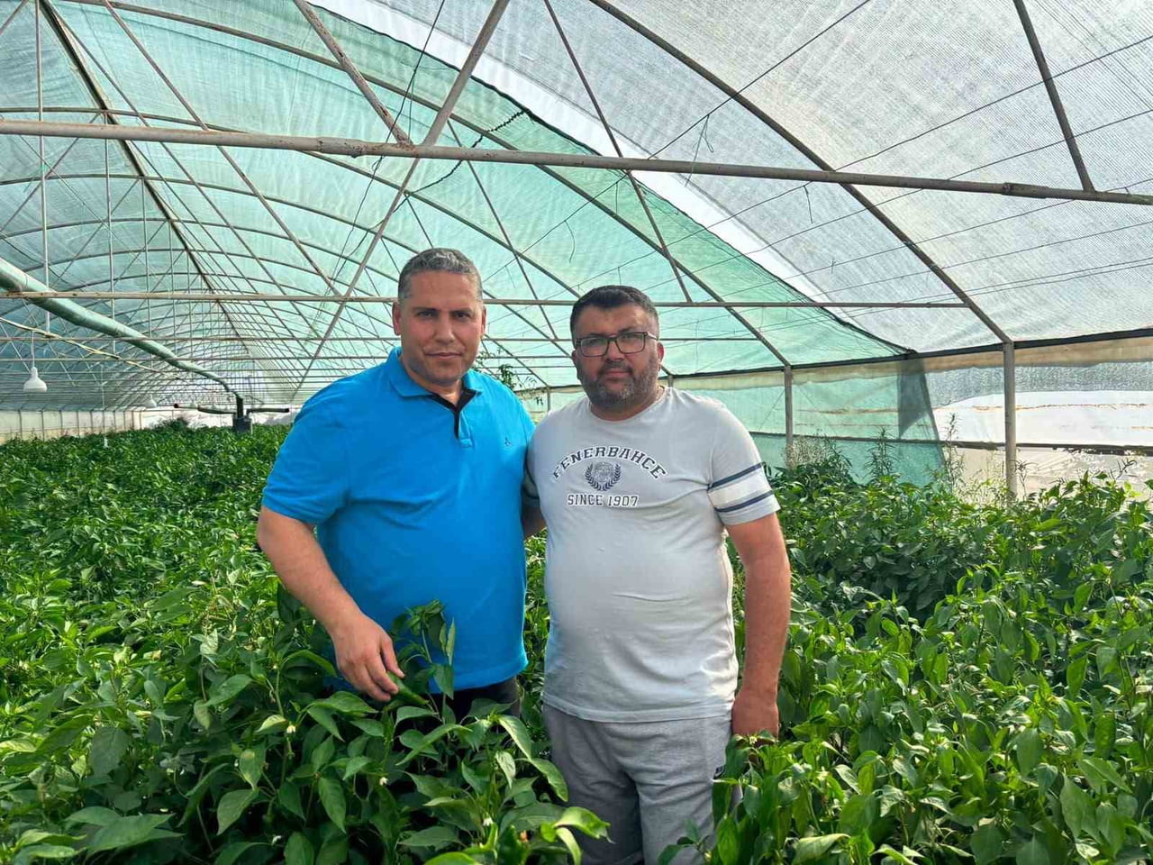 TÜRK PATENT VE MARKA KURUMU TARAFINDAN COĞRAFİ İŞARETLE TESCİLLENEN SARIGÖL'ÜN EMCELLİ BİBERİ'NDE...