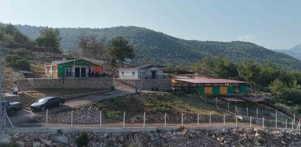 TÜRKİYE'DE SOKAK HAYVANLARINA YÖNELİK DÜZENLEMELERİN ARDINDAN BELEDİYELERİN ÇALIŞMALARI SÜRERKEN...