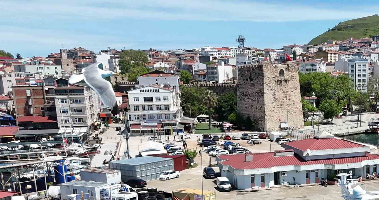 TÜRKİYE İSTATİSTİK KURUMU (TÜİK), HAZİRAN 2026 DÖNEMİNE İLİŞKİN MOTORLU KARA TAŞITLARI...