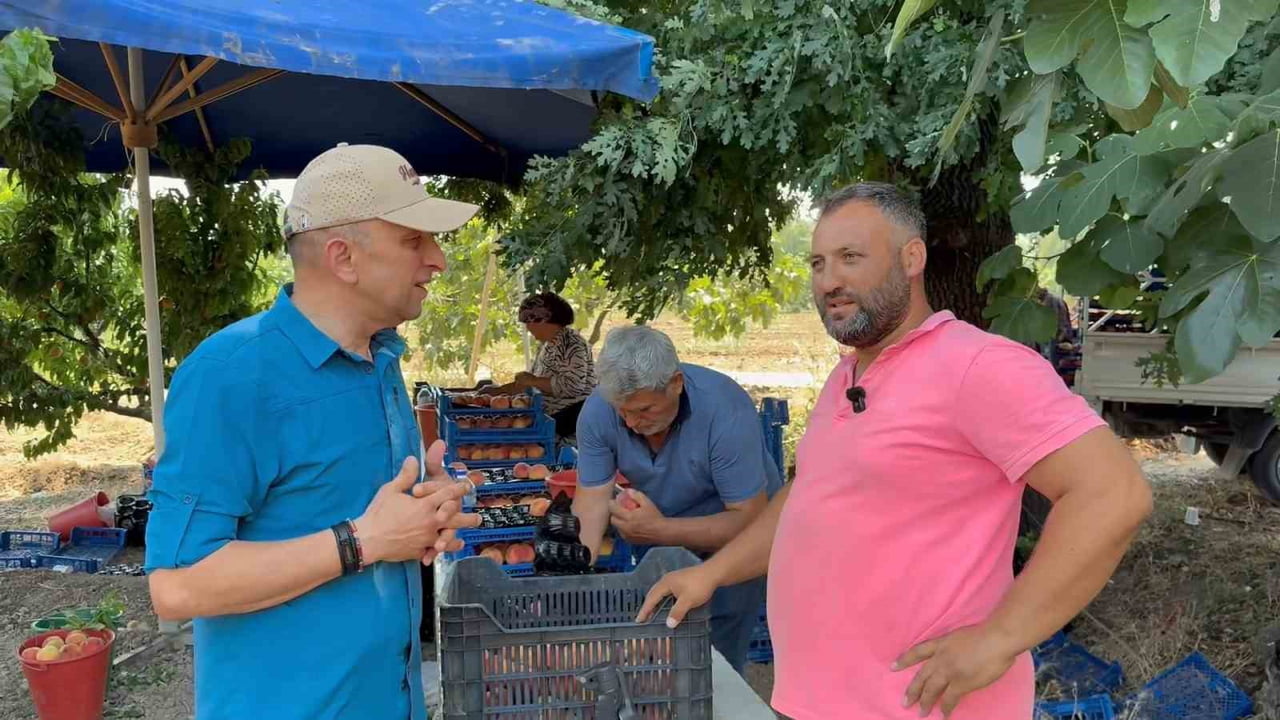 ÜRETİCİLER, BU YIL YAĞIŞLARIN MEYVENİN GELİŞİMİNE OLUMLU KATKI SAĞLADIĞINI BELİRTEREK, "YAĞMURLAR...