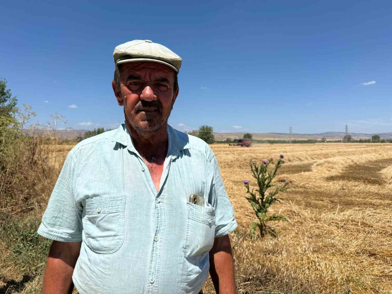 ÜRETİLEN MAHSULÜN ARDINDAN PİYASADAKİ TALEP YETERSİZLİĞİNE DİKKAT ÇEKEN BİR DİĞER BÖLGE ÇİFTÇİSİ...
