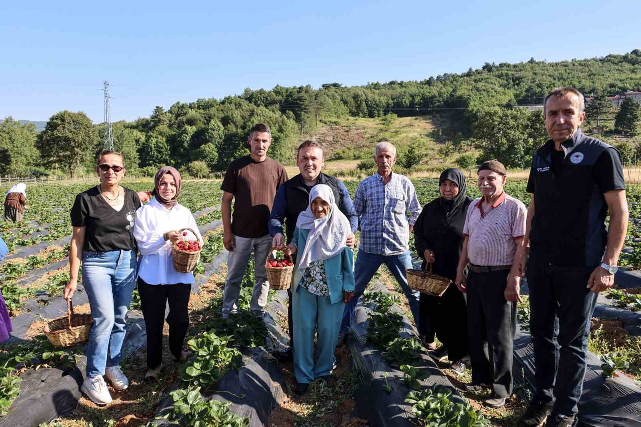 VALİ SÖZER, HUZUREVİ SAKİNLERİYLE ÇİLEK HASADI YAPTI