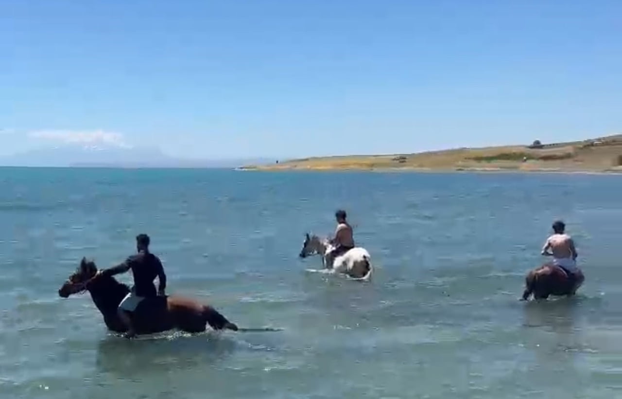VAN'IN MURADİYE İLÇESİNDE ETKİLİ OLAN SICAK HAVADAN BUNALAN BİR GRUP GENÇ, SERİNLEMEK İÇİN ATLARLA...