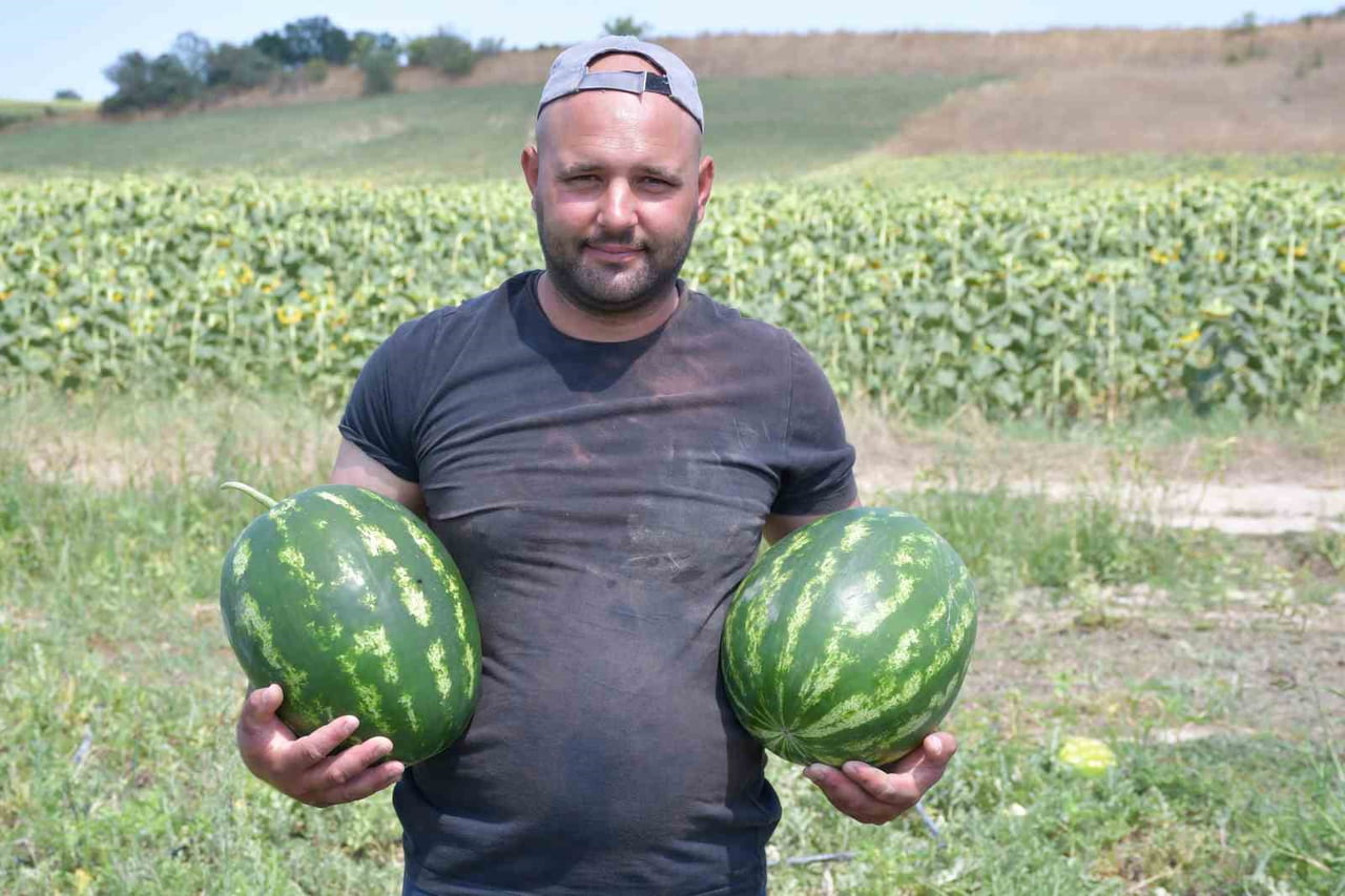 YAKLAŞIK 30 YILDIR KARPUZ ÜRETİMİ YAPAN OZAN KOÇ, SEZONUN ÜRETİCİ AÇISINDAN OLDUKÇA İYİ GEÇTİĞİNİ...