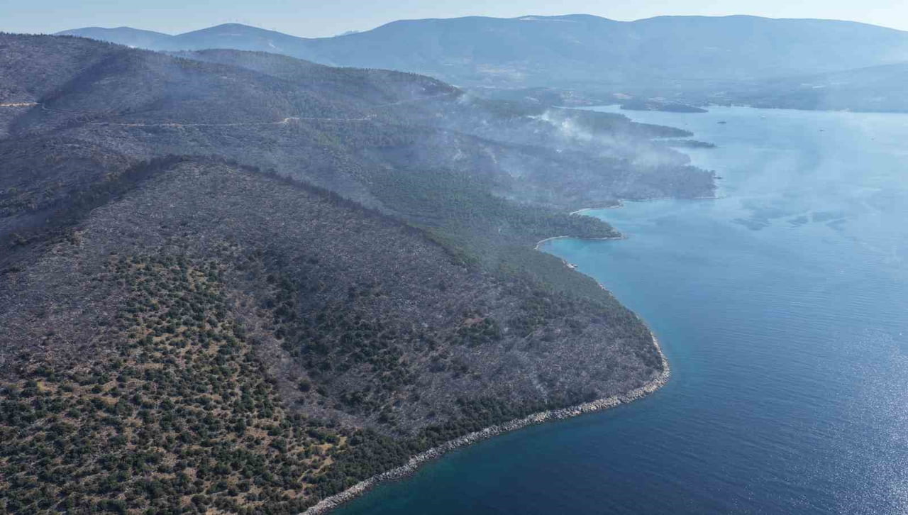 YANAN ALANLAR DRON İLE GÖRÜNTÜLENİRKEN YEŞİL ÖRTÜNÜN KARAYA DÖNDÜĞÜ GÖRÜLDÜ.