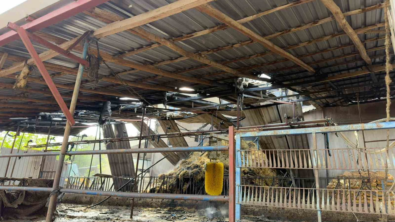 YANGINDA BALYALAR, HAYVAN YEMLERİ, AHIRIN ÇATISI İLE EVİN ALTINDA BULUNAN ÇEŞİTLİ TARIM ALETLERİ...