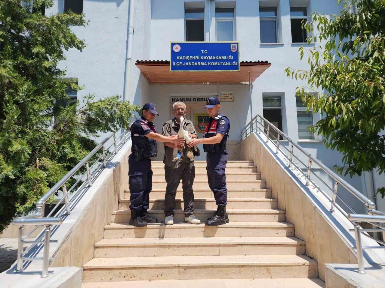 YARALI LEYLEK GEREKLİ BAKIM VE TEDAVİLERİNİN YAPILMASI AMACIYLA DOĞA KORUMA VE MİLLİ PARKLAR ŞUBE...