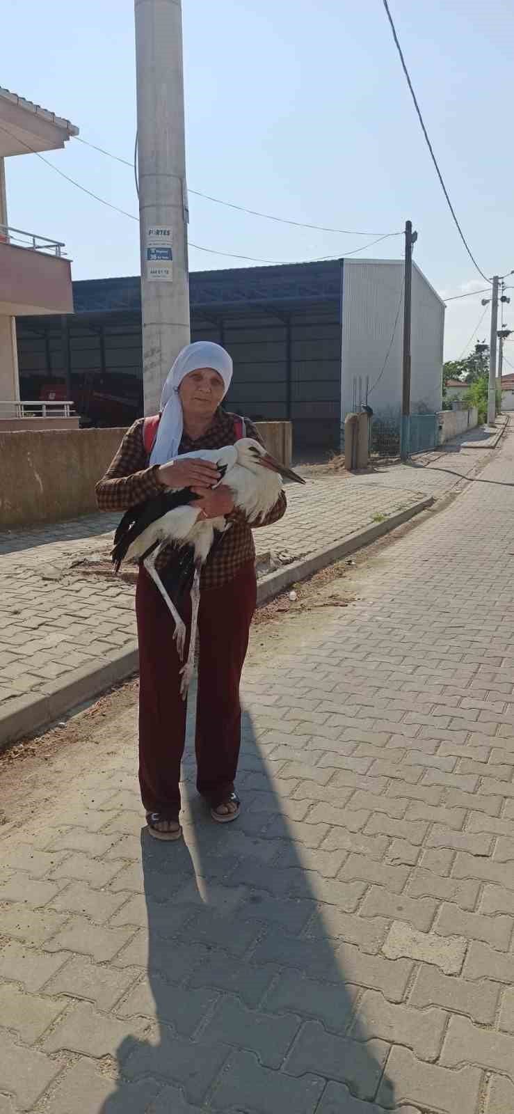 YAŞADIKLARINI ANLATAN AYSEL SOLAK, "BİTKİN HALDE YERDE YATIYORDU. MUHTEMELEN YUVADAN DÜŞTÜ YA DA...