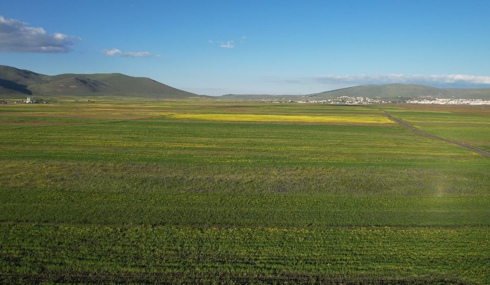 YAZIN RENK CÜMBÜŞÜNE BÜRÜNEN ARDAHAN OVASI HAVADAN GÖRÜNTÜLENDİ.