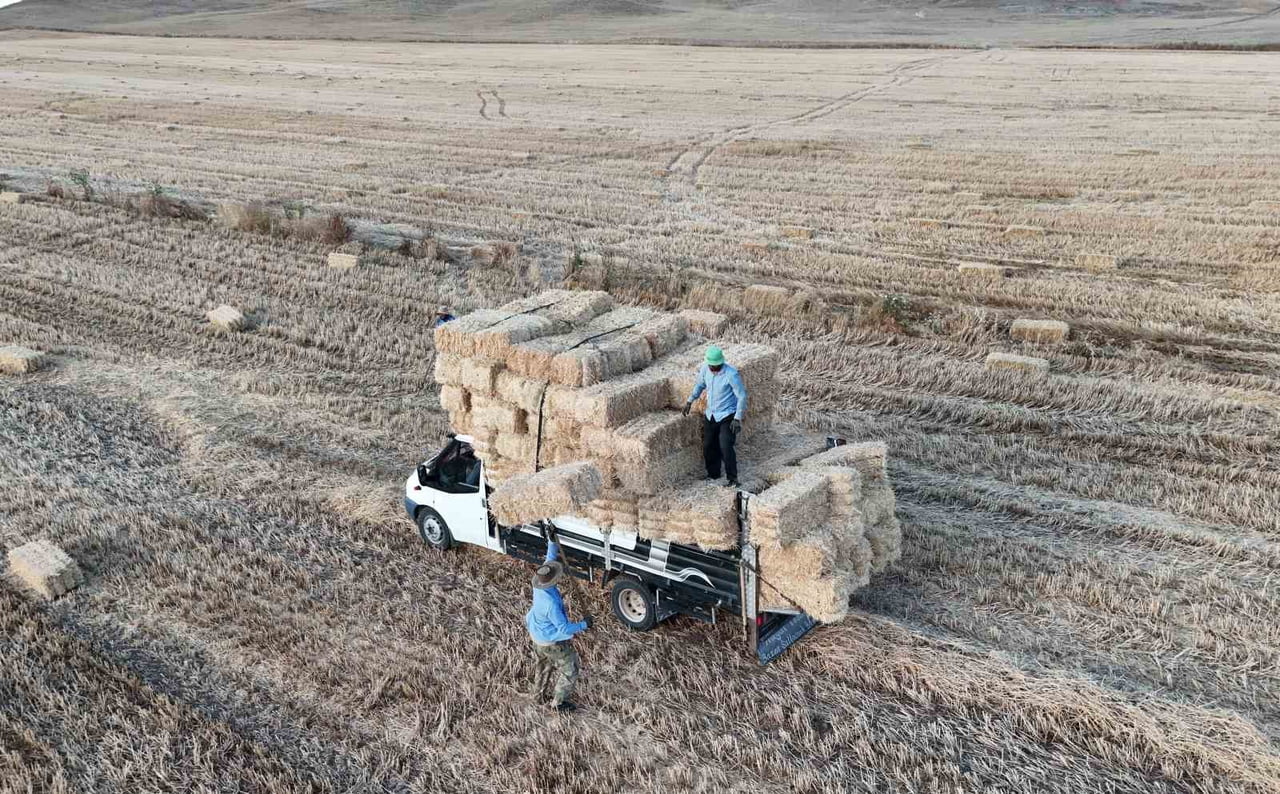 YOZGAT'TA HUBUBAT HASADININ TAMAMLANDIĞI BÖLGELERDE SAMAN BALYALAMA MESAİSİ BAŞLADI.