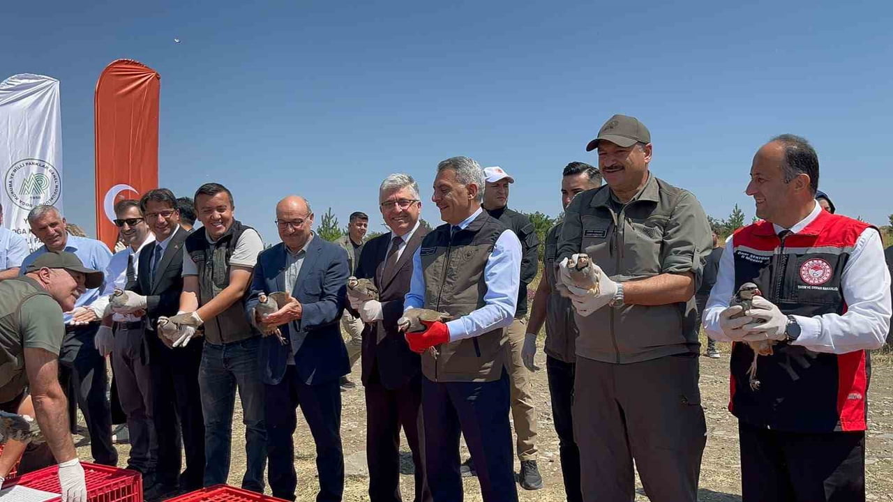YOZGAT ÇAMLIK MİLLİ PARKI’NDA BİN KINALI KEKLİK DOĞAYA SALINDI.