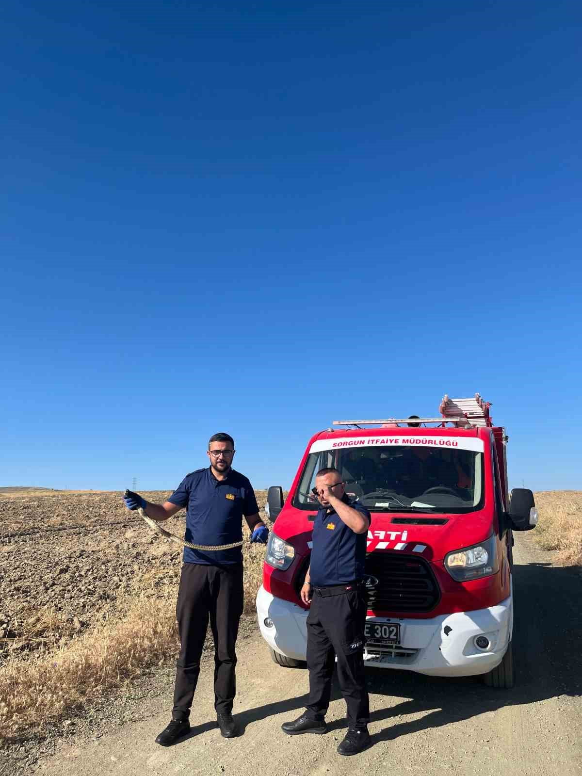 YOZGAT’IN SORGUN İLÇESİNDE KAYMAKAMLIK BİNASI BAHÇESİNDE BULUNAN YILAN DOĞAYA BIRAKILDI.