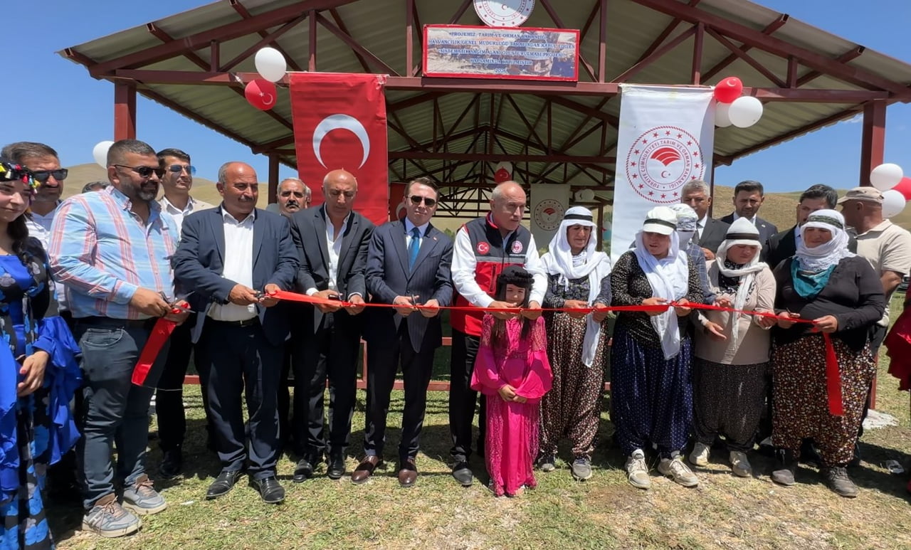 YÜKSEKOVA İLÇESİNDE KAVURUCU SICAK ALTINDA SÜT SAĞAN BERİVANLAR İÇİN HAZIRLANAN "SİSTEMATİK SAĞIM...