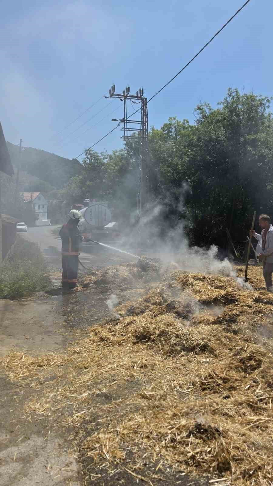 ZONGULDAK'IN ÇAYCUMA İLÇESİNE BAĞLI KAHVECİOĞLU KÖYÜ'NDE SAMAN YÜKLÜ BİR TIRIN DORSESİNDE ÇIKAN...