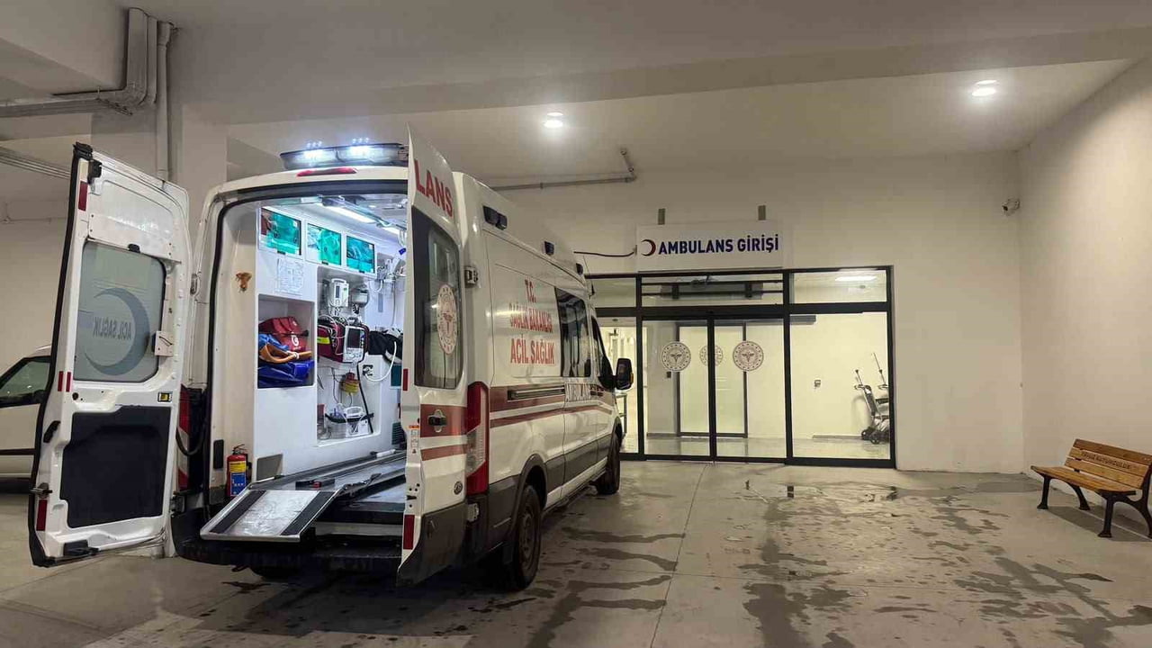 ZONGULDAK (İHA) - ZONGULDAK’IN ALAPLI İLÇESİNDE BAHÇESİNE İNEN KAMİL KAÇAR, YILANIN SALDIRISINA...