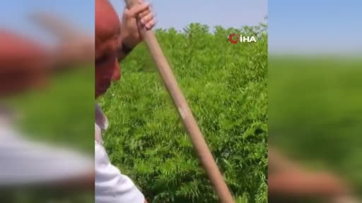 32 yıldır yaz ayları geçim kaynağı oluyor