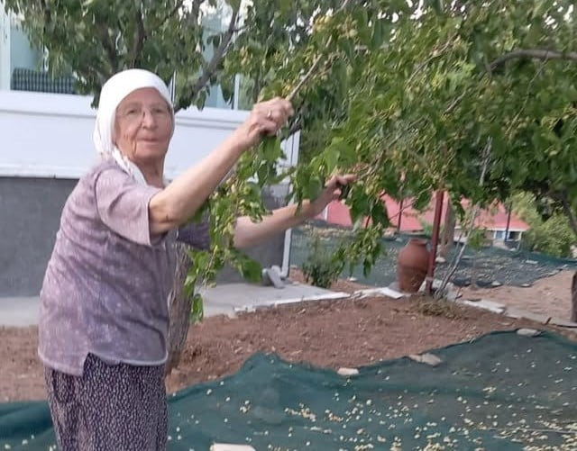 85 YAŞINDAKİ ÇİFT, GELENEKSEL YÖNTEMLERLE DUT PEKMEZİ ÜRETİMİNİ SÜRDÜRÜYOR
