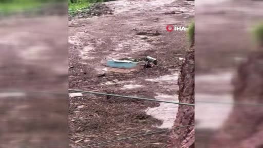 ABD'nin Arizona eyaletindeki Büyük Kanyon Ulusal Parkı'nda şiddetli yağışların yol açtığı ani sel...