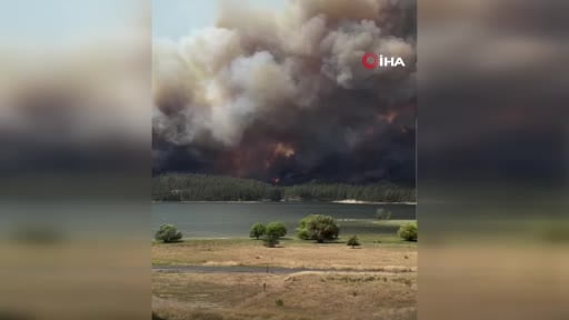 ABD’nin Washington eyaletinin Spokane kenti dışında hızla yayılan orman yangını nedeniyle 2 bin...