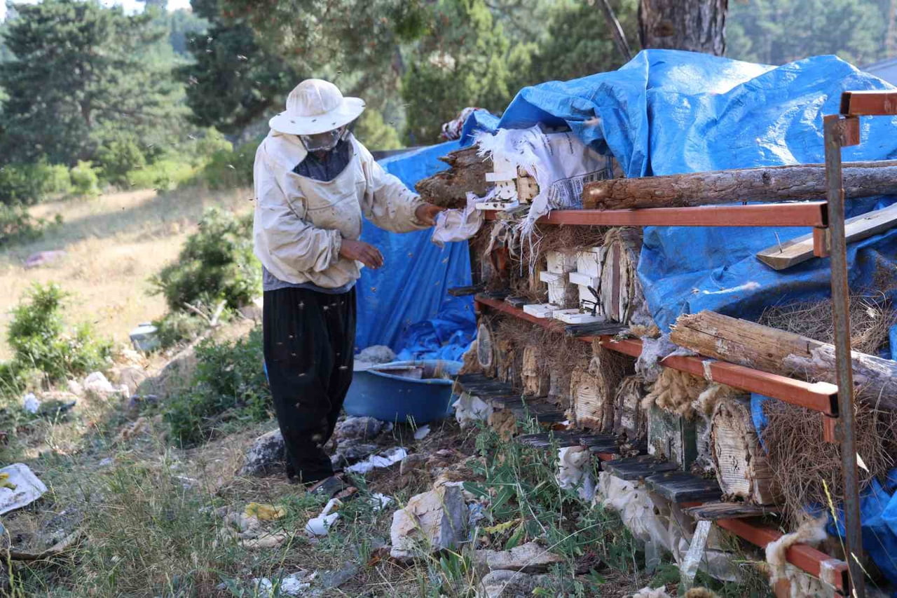 ADANA'NIN SAİMBEYLİ İLÇESİNDE 68 YAŞINDAKİ EMEKLİ İMAM HATİP HAYFİ DEMİRBOĞA, EMEKLİLİĞİNİN...