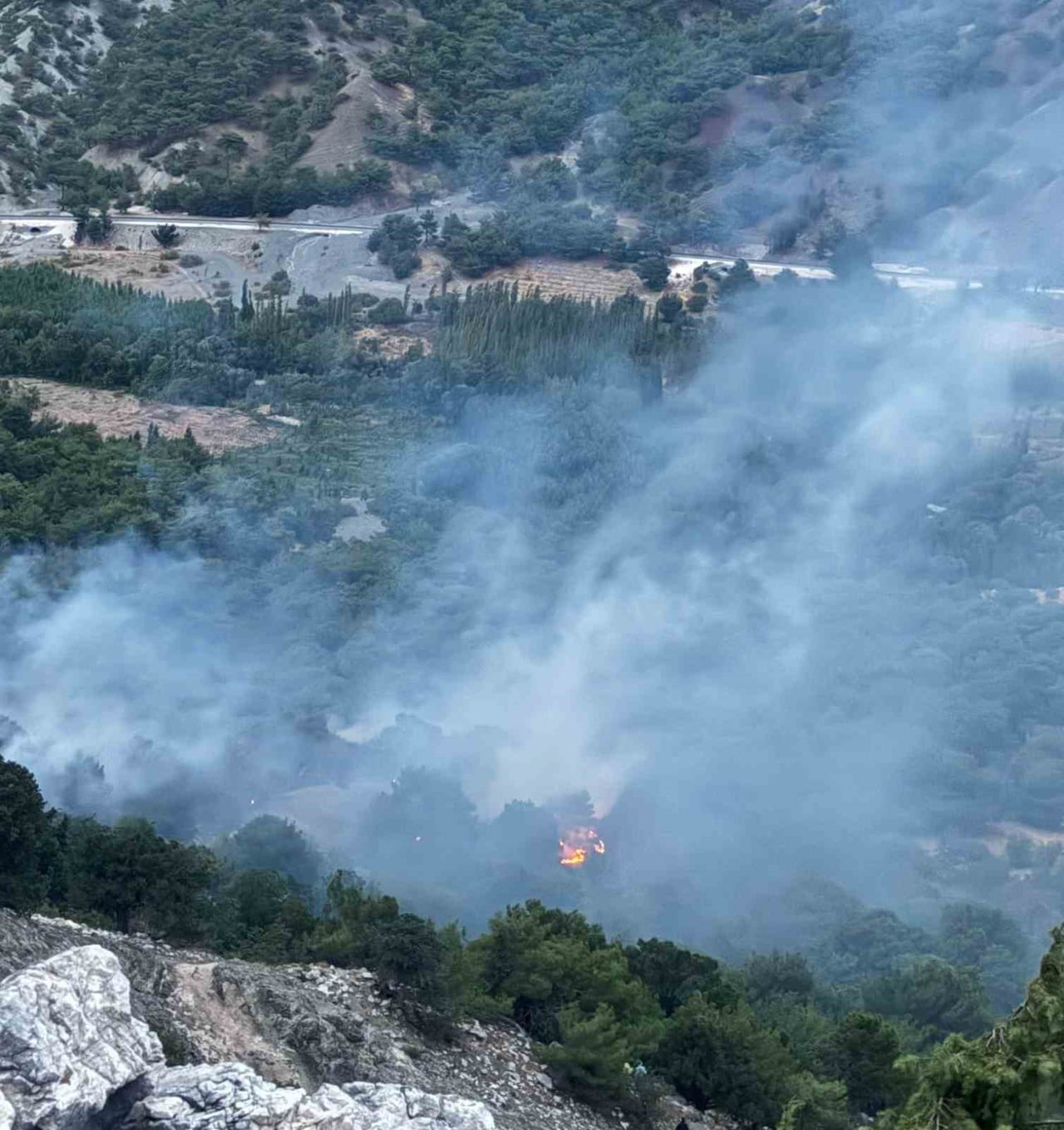 ADIYAMAN'IN GÖLBAŞI İLÇESİNDE AKŞAM SAATLERİNDE YILDIRIM DÜŞMESİ SONUCU BAŞLAYAN ORMAN YANGINI...