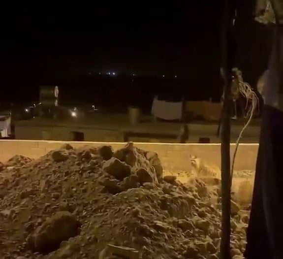 ADIYAMAN’DA, KÖYE İNEN BİR ÇİZGİLİ SIRTLAN CEP TELEFONLARIYLA GÖRÜNTÜLENDİ.