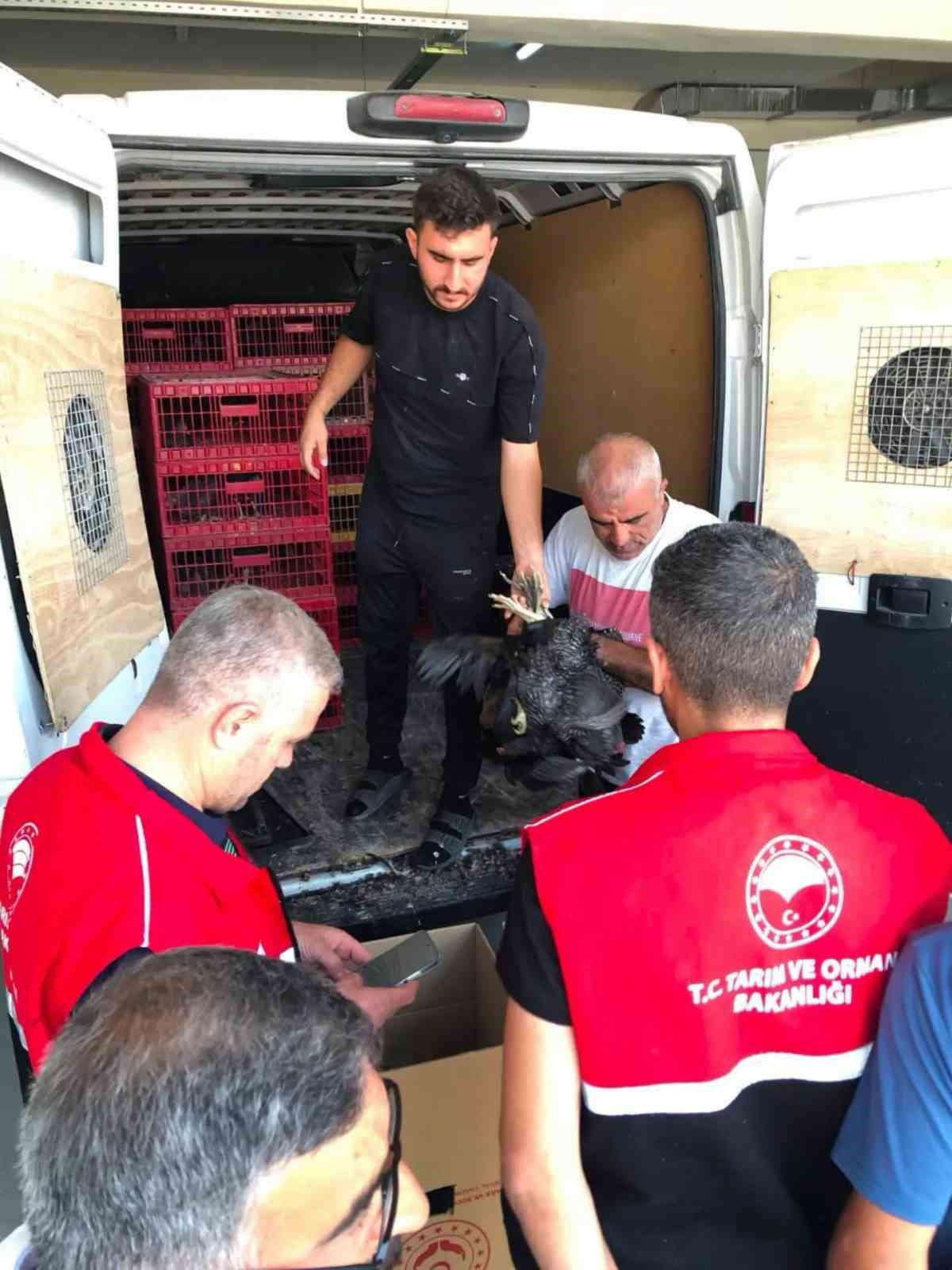 ADIYAMAN’IN ÇELİKHAN İLÇESİNDE SOSYAL DAYANIŞMAYI GÜÇLENDİRMEK VE SÜRDÜRÜLEBİLİR ÜRETİMİ...